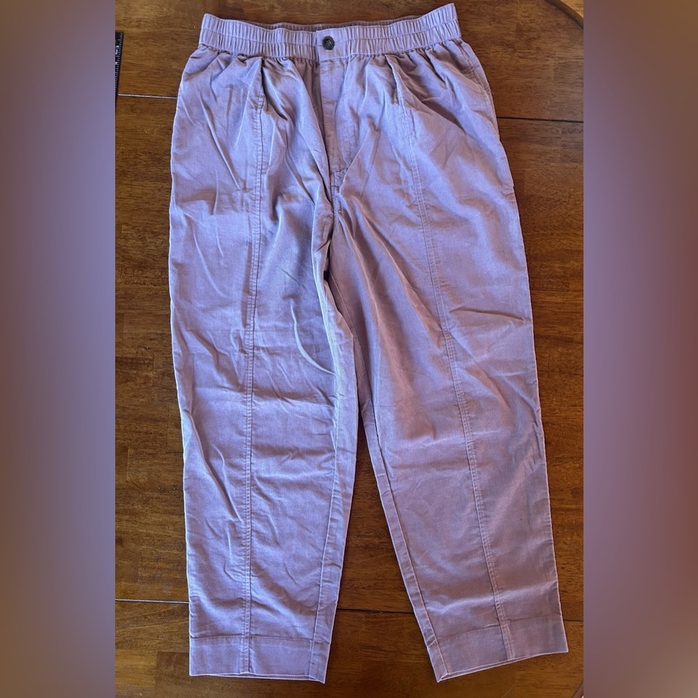 NWT Madewell Purple Mauve Corduroy Pants Button Closure Size Medium - Picture 2 of 6